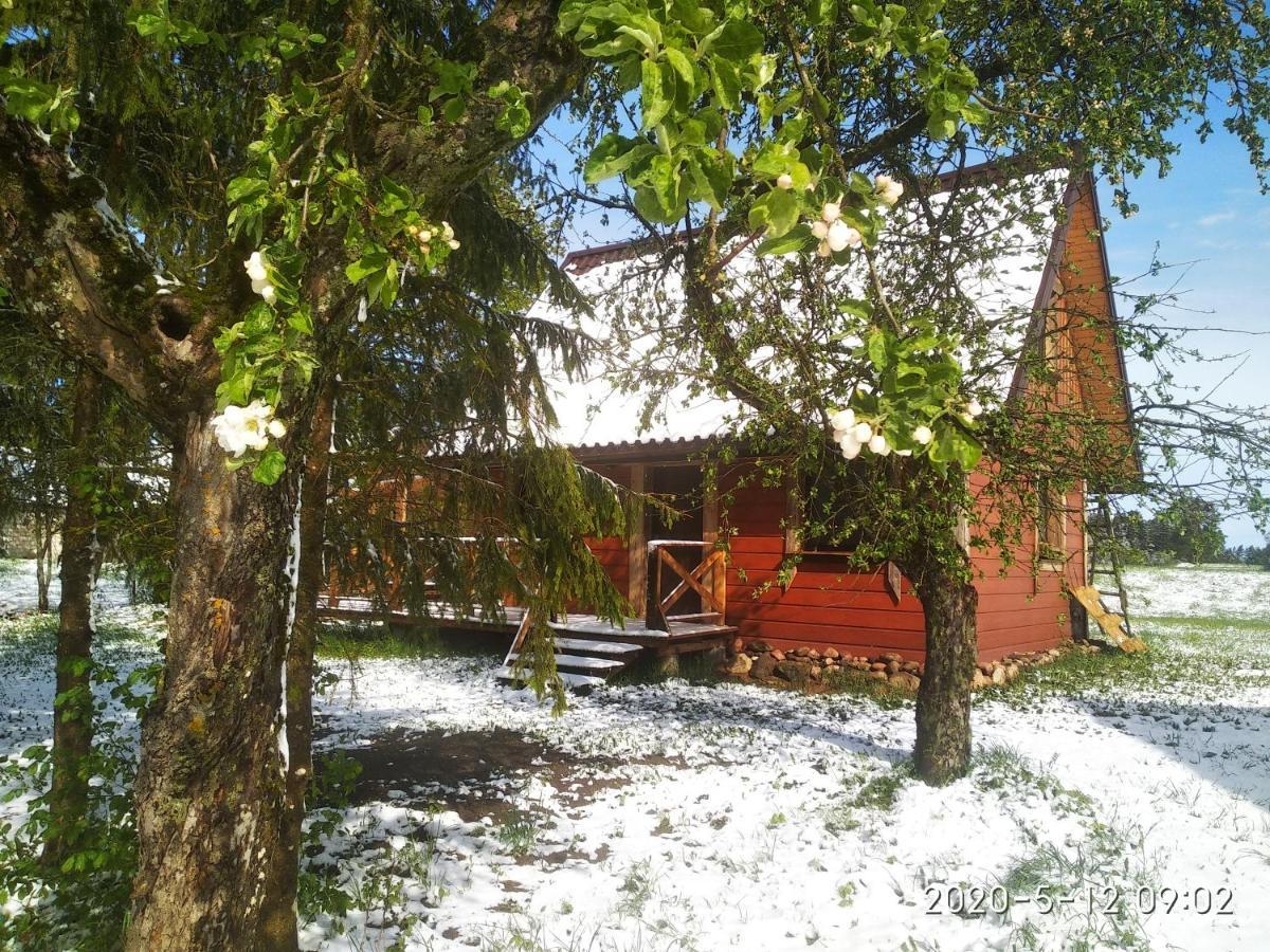 Ekostolarnia Villa Rutka-Tartak ภายนอก รูปภาพ
